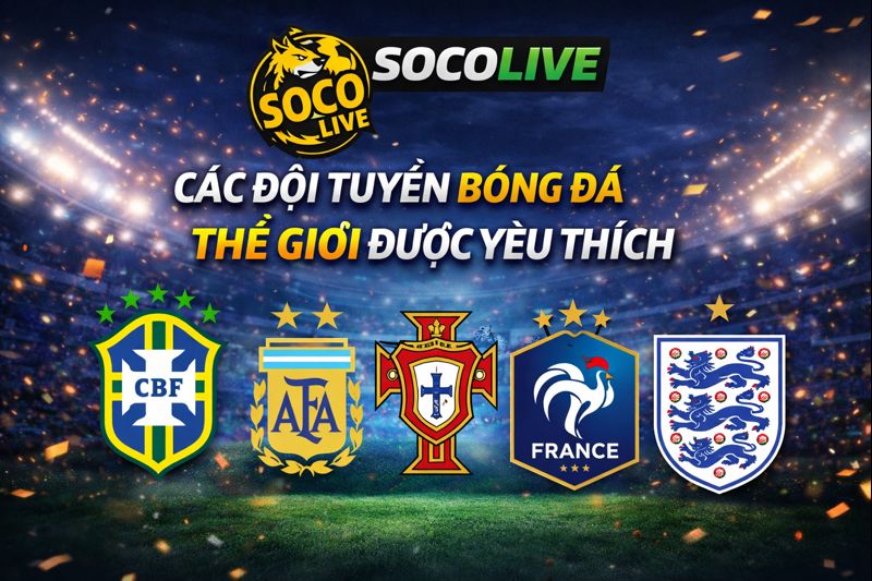 Các đội tuyển bóng đá thế giới được yêu thích