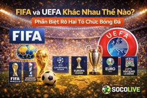 FIFA Và UEFA Khác Nhau Thế Nào? Phân Biệt Rõ Hai Tổ Chức Bóng Đá